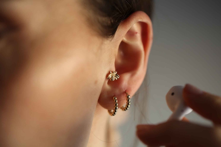 REİS - Bee Tragus