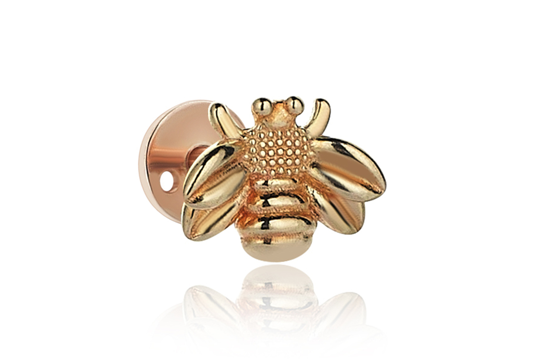 Bee Tragus (2)