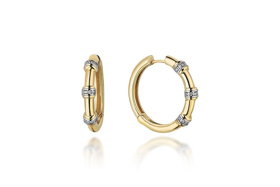 Bone Hoop Dia (2)