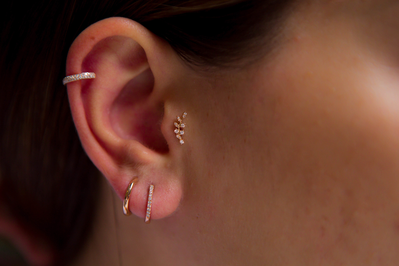 Dal Pırlanta Tragus (1)