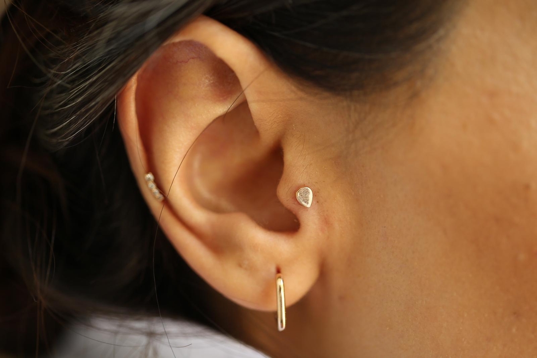 Damla Tragus (1)