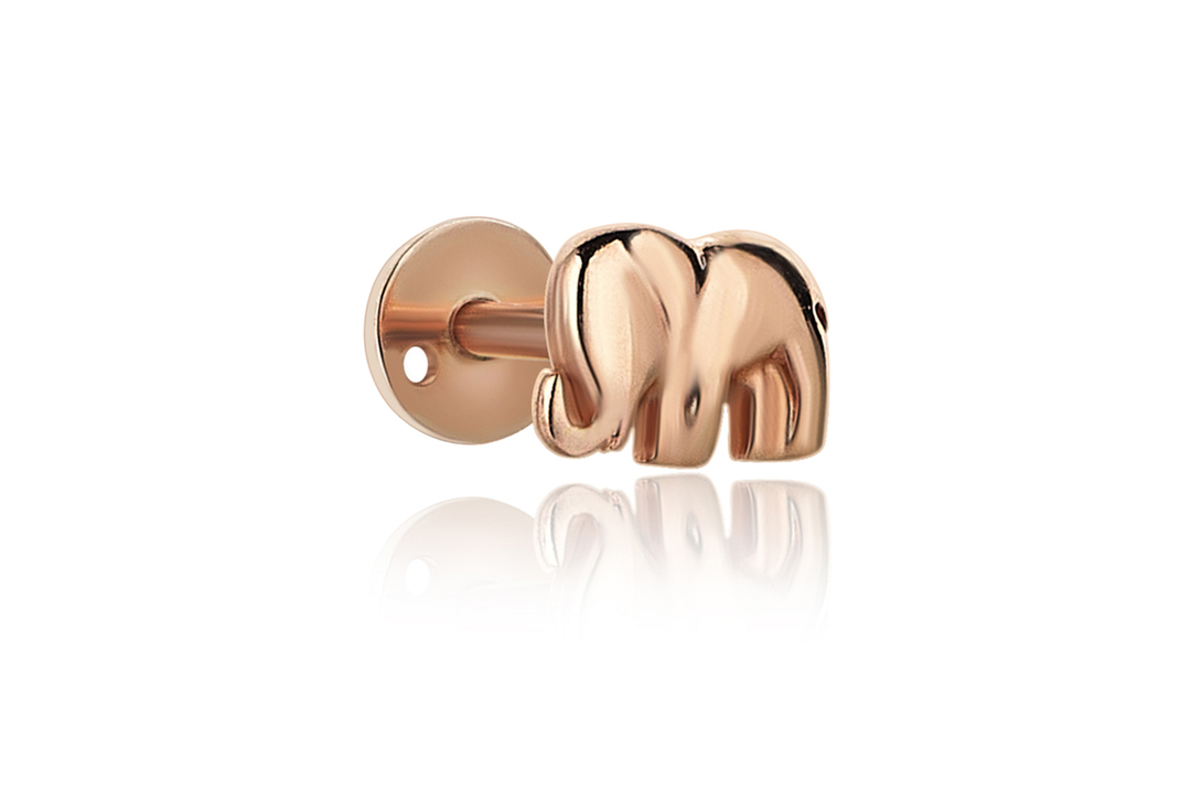 Fil Tragus (2)