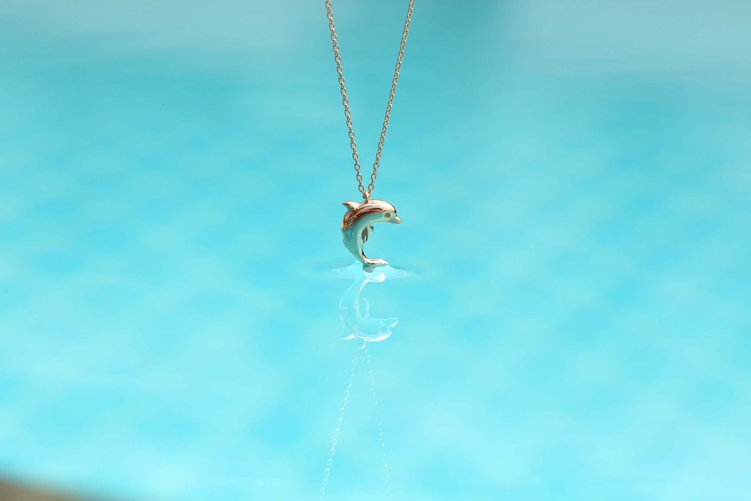 Flipper (1)