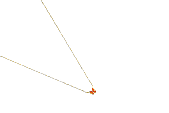 Butterfly Orange - REİS (1)