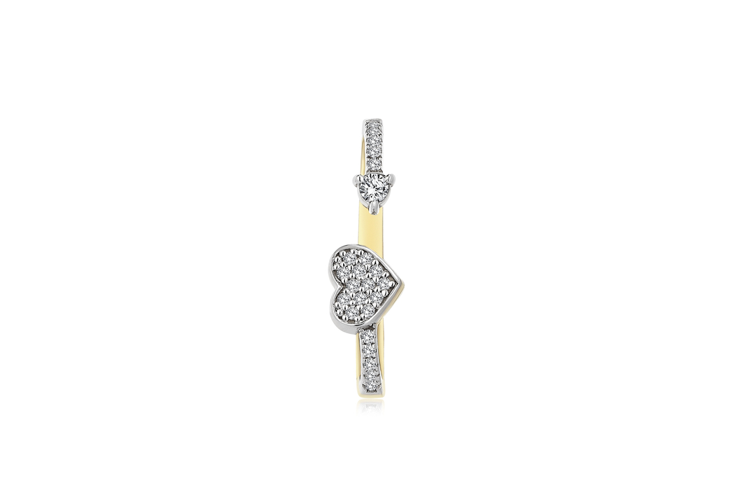 Kalp Earcing (2)
