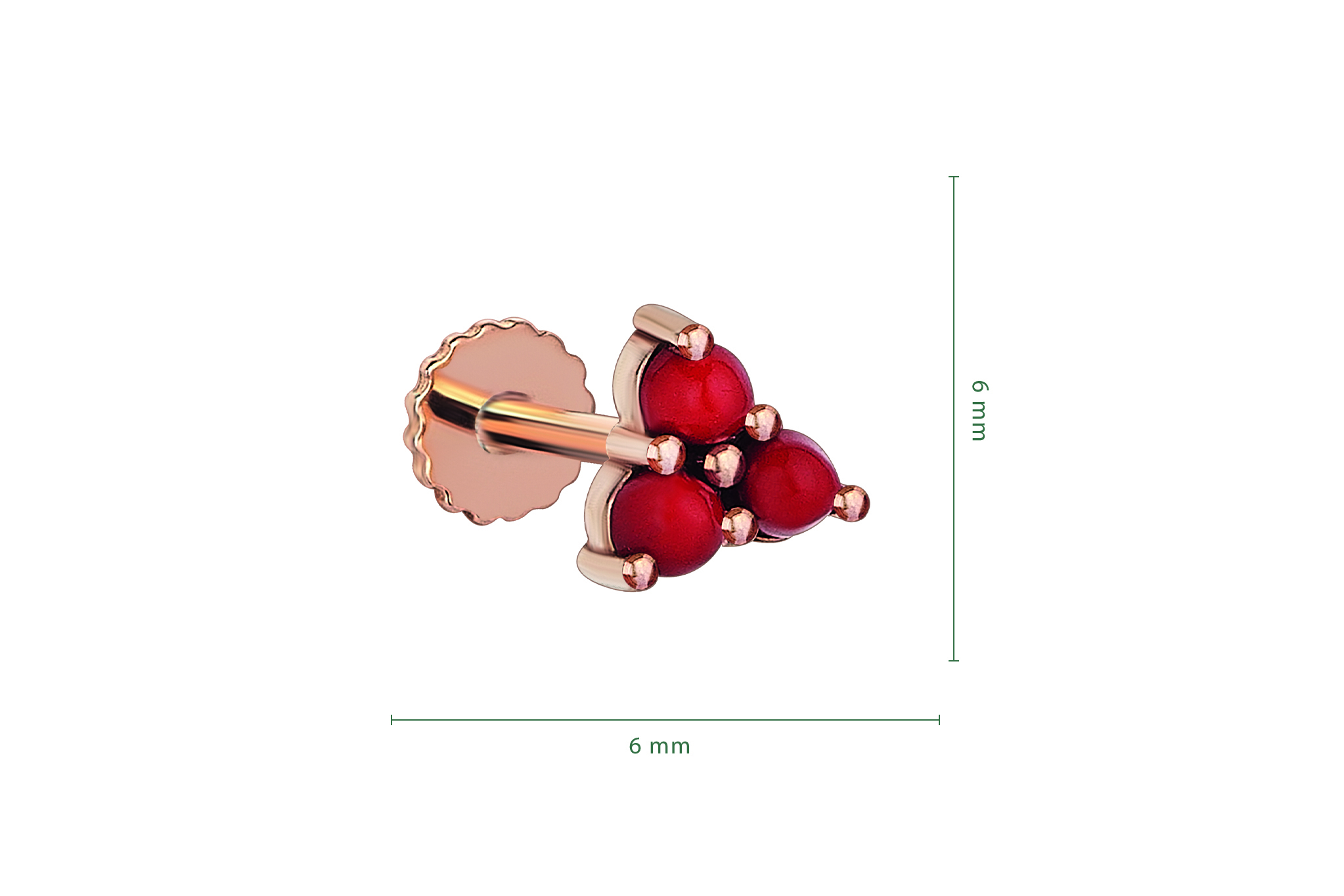 Kokina Tragus