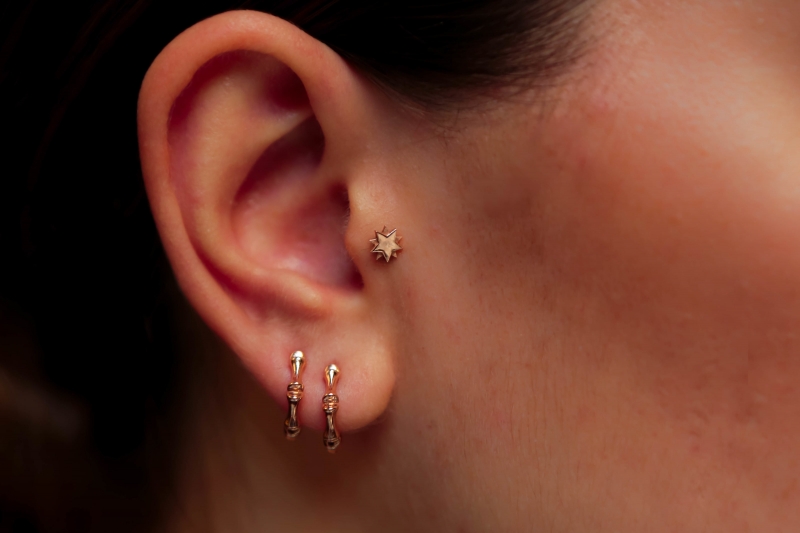Kutup Yıldızı Tragus (1)
