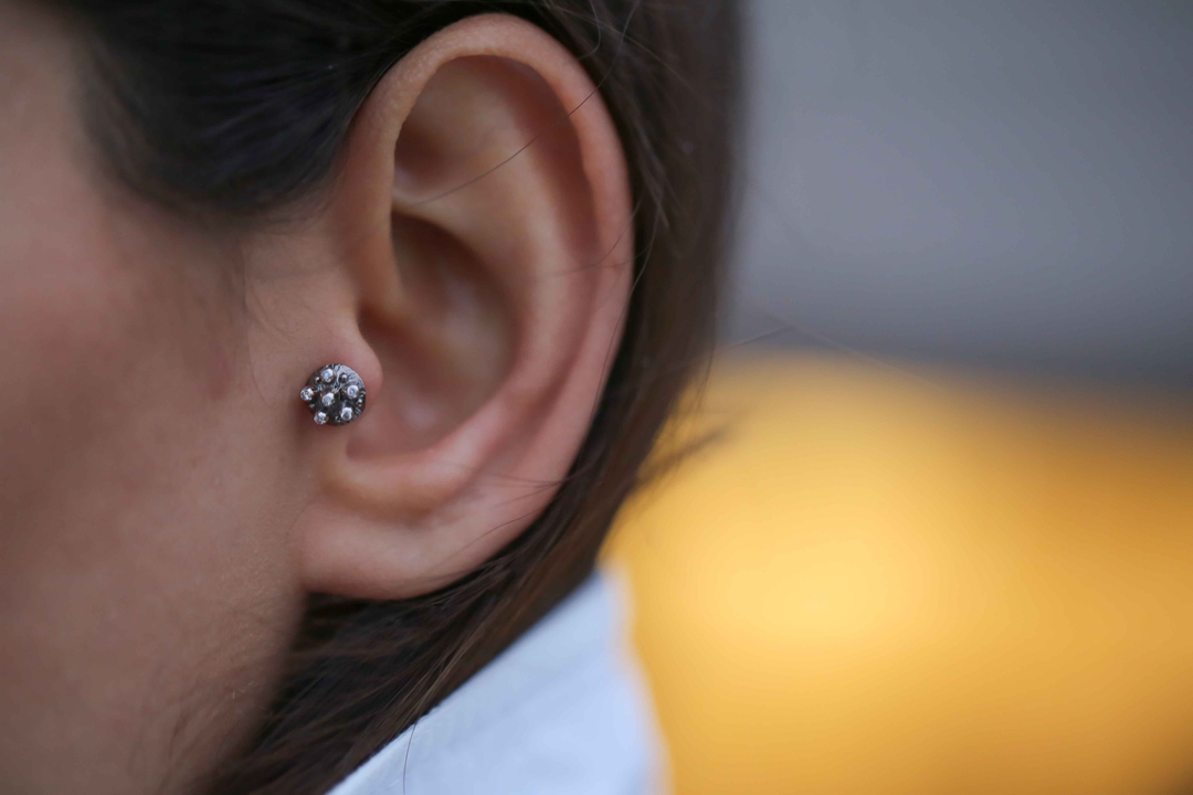 Lup Tragus (1)