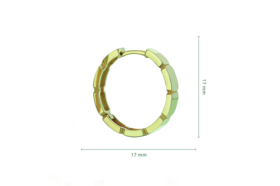 Mahal Pure Earring (2)