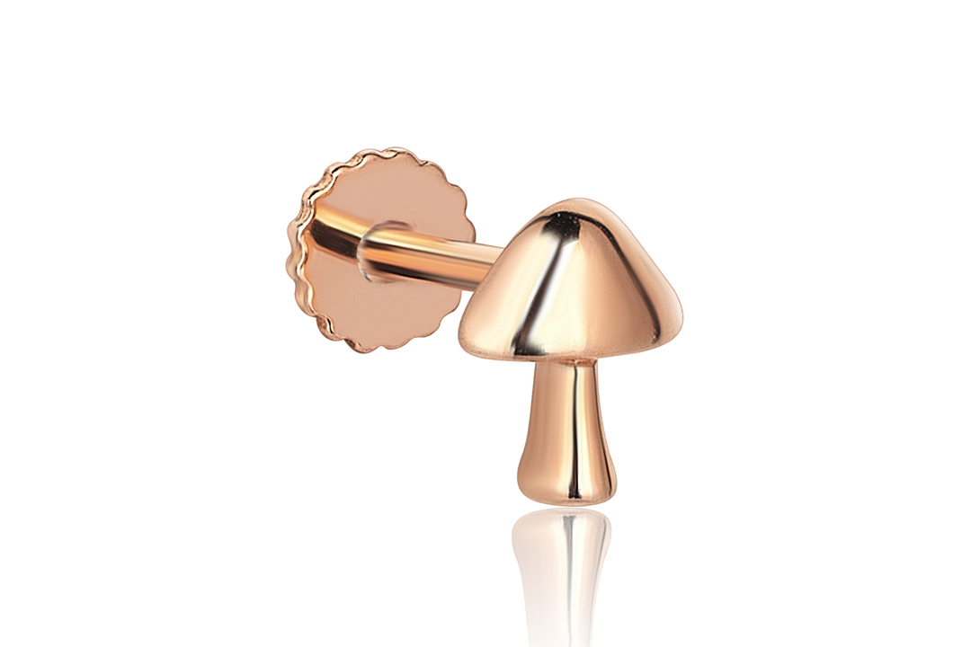 Mush Tragus (2)