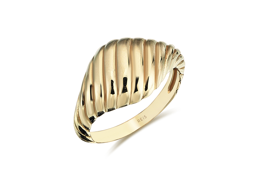 Oyster (2)