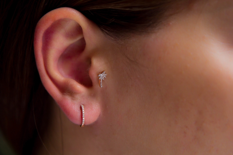 Palmiye Tragus (1)