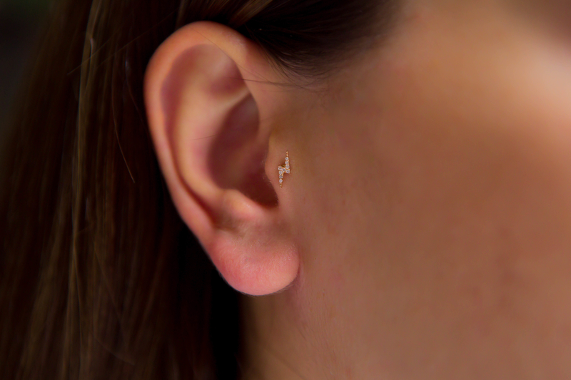 Şimşek Tragus (1)