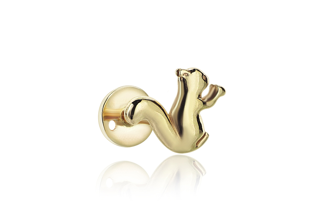 Sincap Tragus (2)