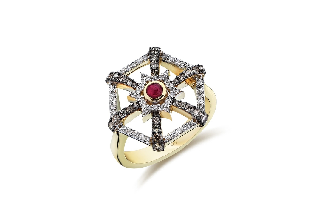 Spy Ring (2)