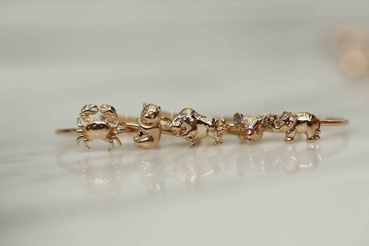 REİS - The Crab Ring
