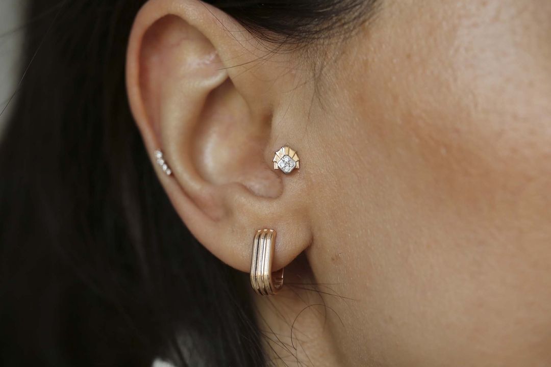 Ubuntu Tragus (1)