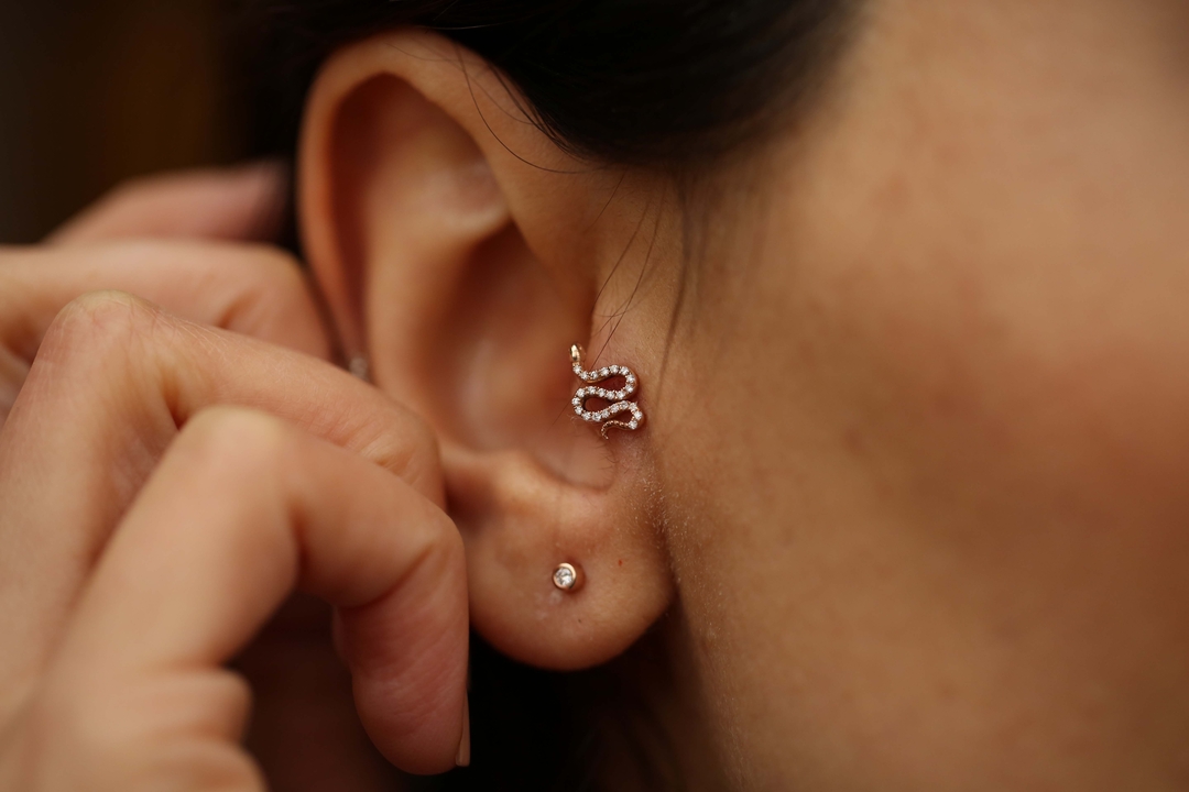 Yılan Pırlanta Tragus (1)