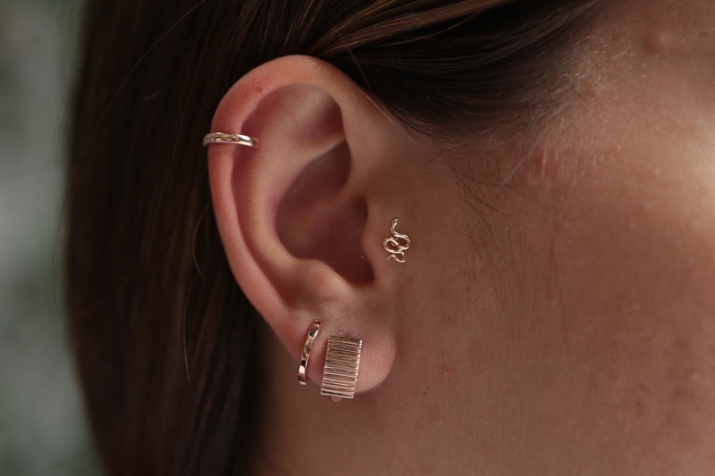 Yılan Tragus (1)